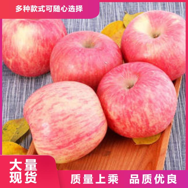 【红富士苹果】_嘎啦果专业供货品质管控