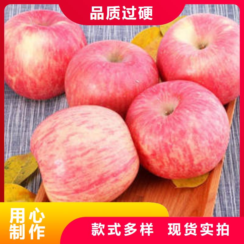 红富士苹果苹果种植基地实力优品