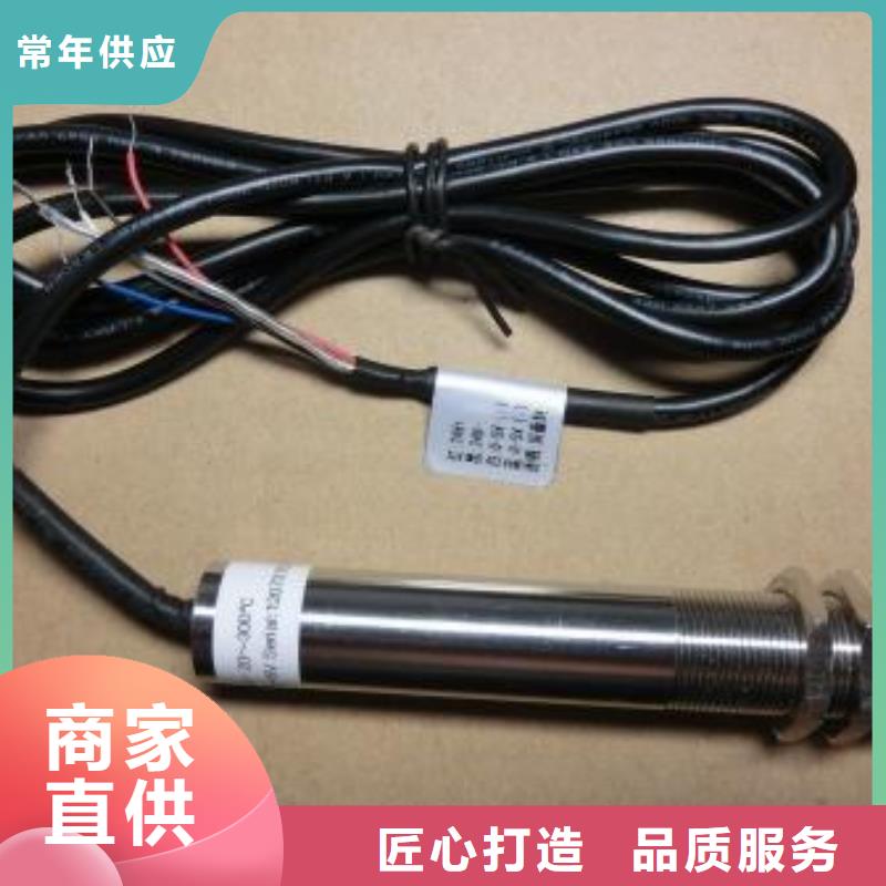 【IRTP300L】_金属转子流量计用好材做好产品