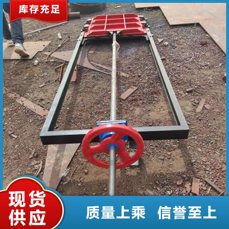 复合闸门诚信厂家