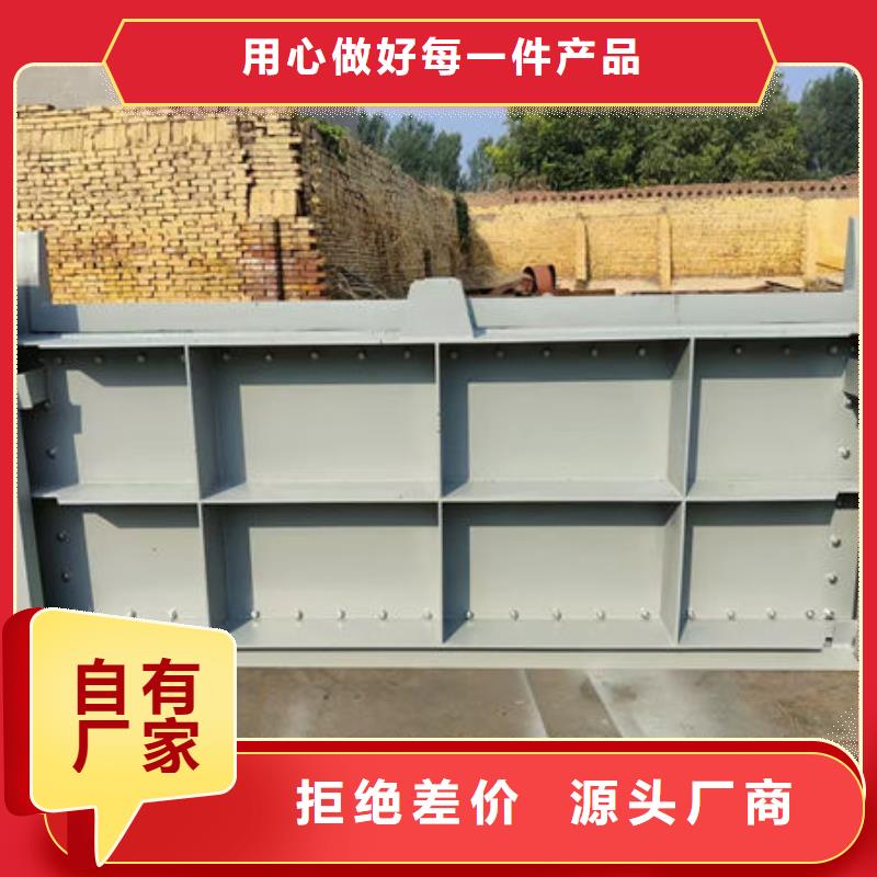 钢坝闸门翻板闸门N年大品牌