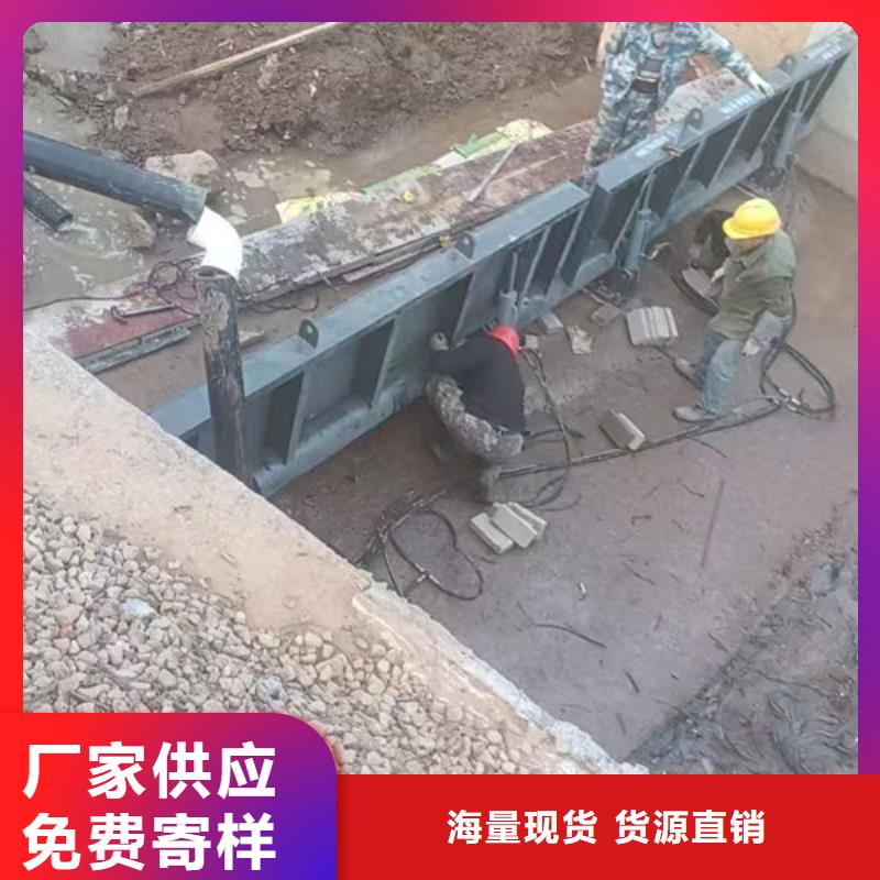龙岗(当地)钢坝闸门合页钢坝好品质用的放心