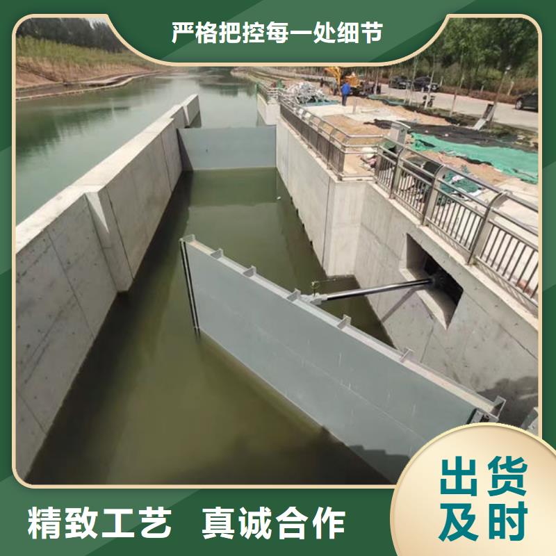 《通辽》(本地)钢坝闸门-翻板闸门做工细致