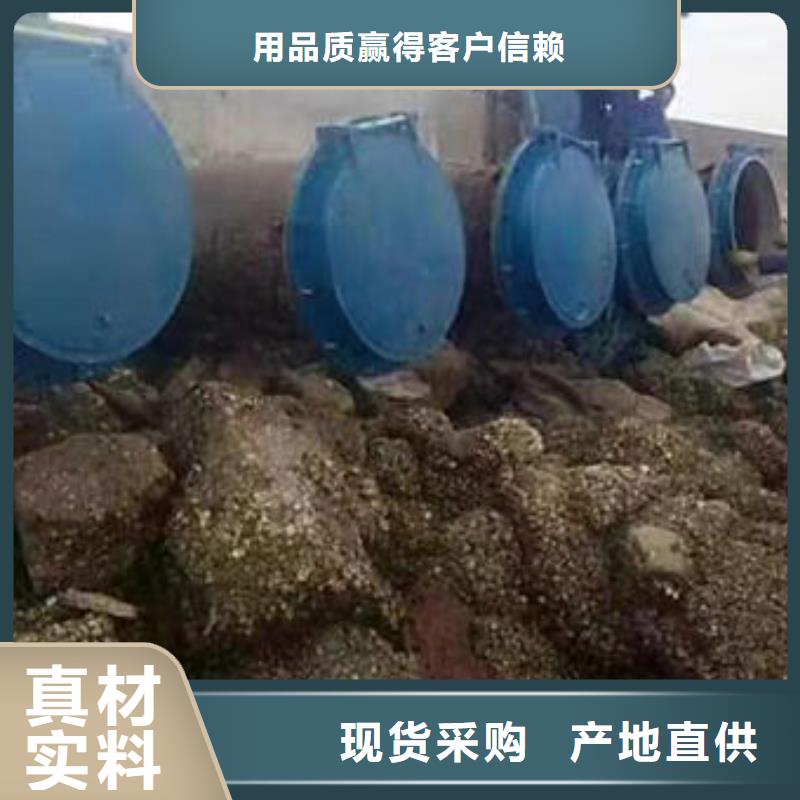 拍门,铸铁拍门保质保量