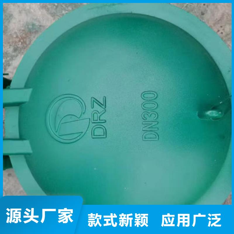 拍门钢制拍门严选材质