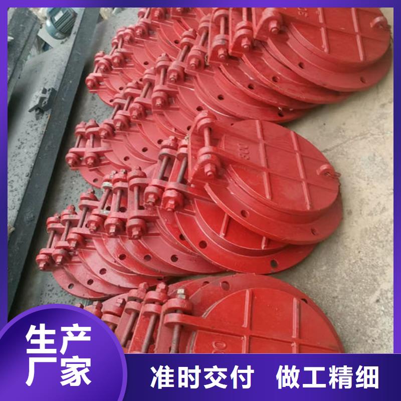 拍门铸铁拍门支持非标定制
