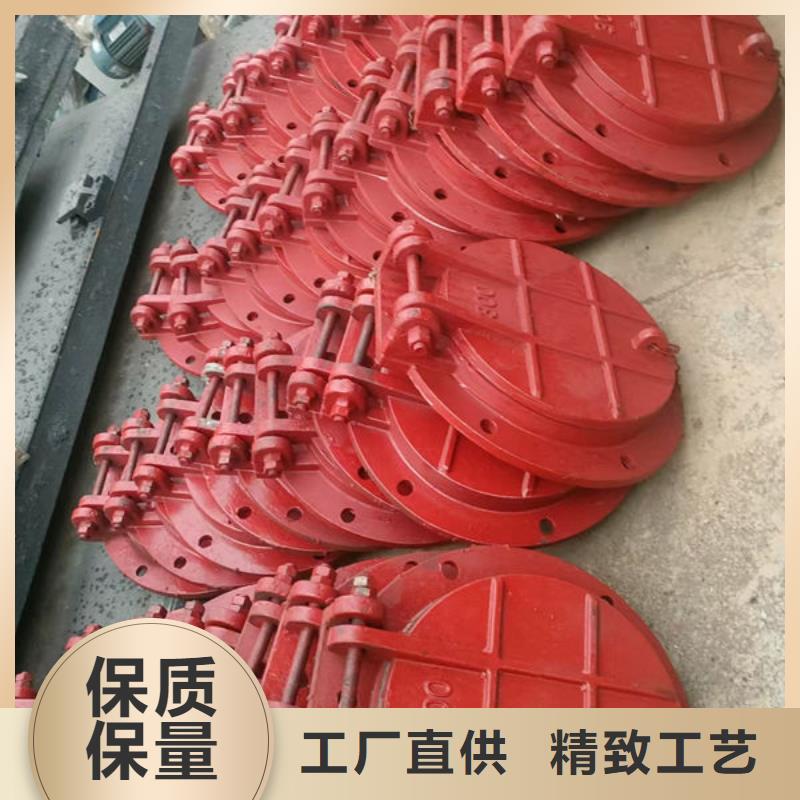 拍门球墨铸铁拍门多年经验值得信赖