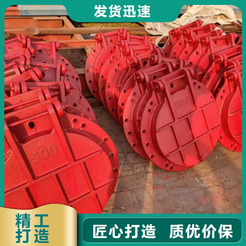 拍门球墨铸铁拍门诚信厂家