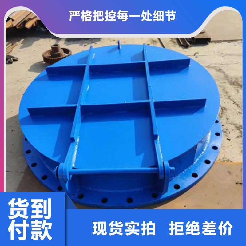 (五大连池) 拍门-不锈钢拍门批发供应
