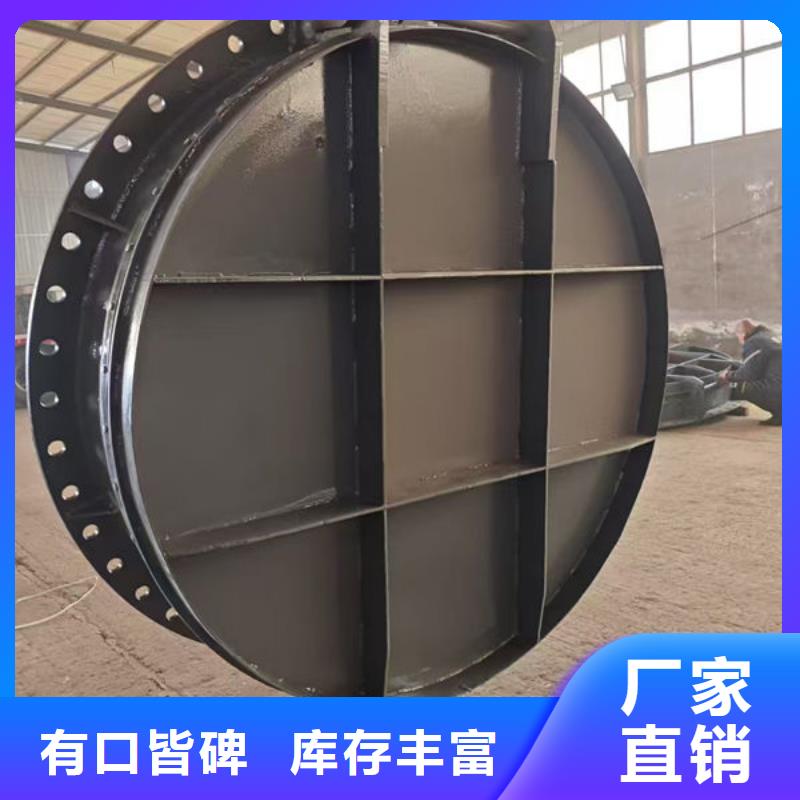 【分宜】 本地 拍门钢制拍门工厂认证