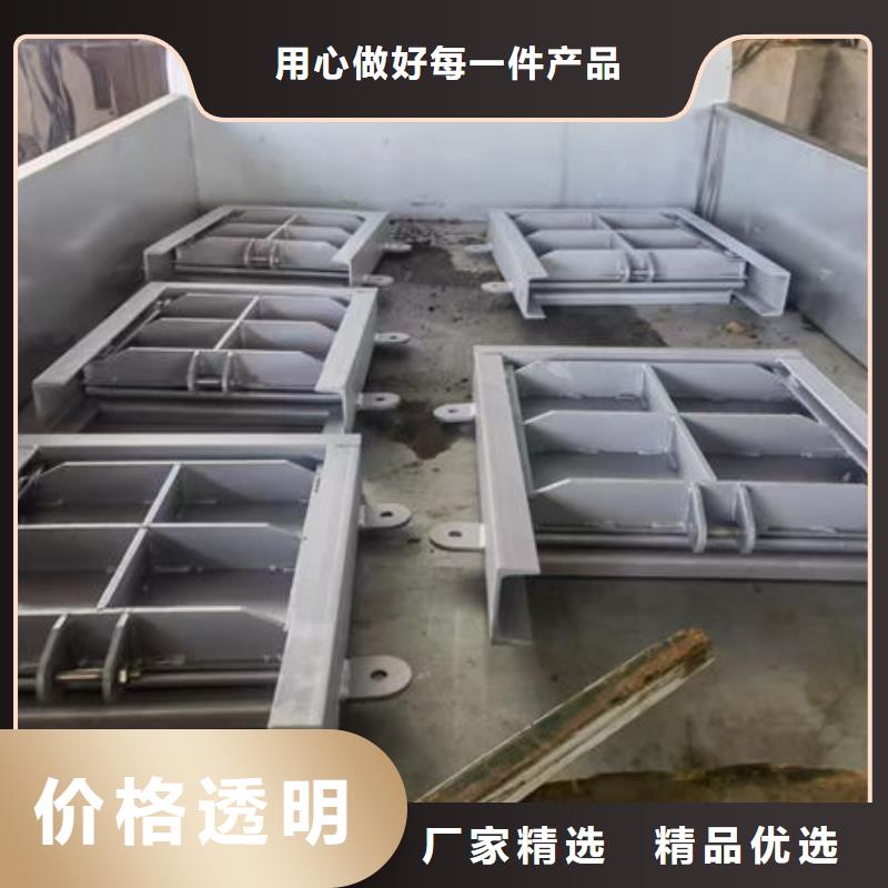 不锈钢闸门捞污珊现货齐全售后无忧