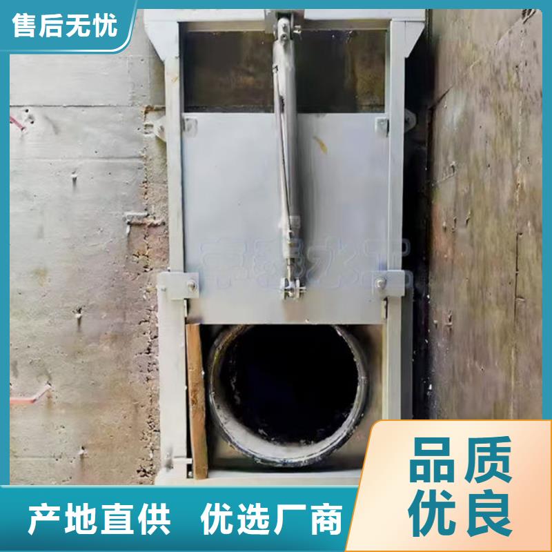 鱼台(本地)不锈钢闸门平面钢闸门品质服务