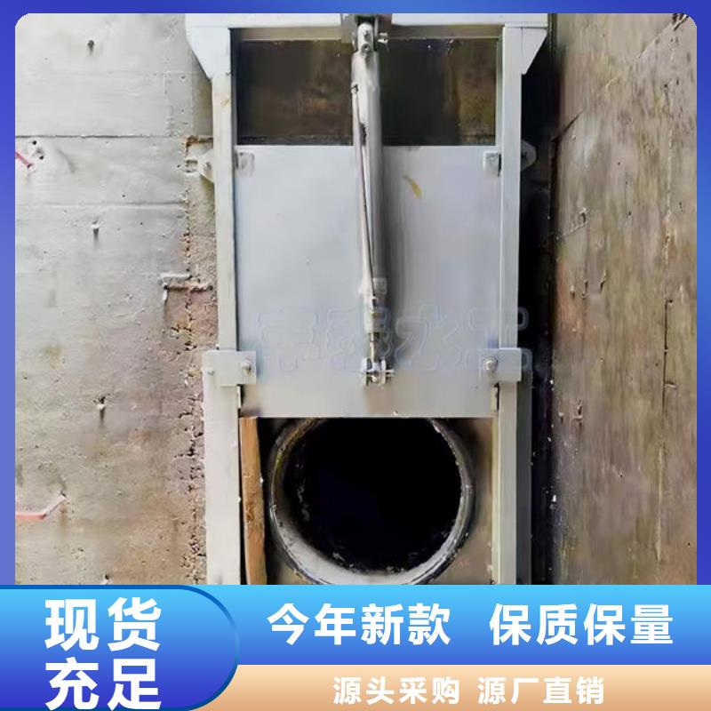 鱼台【当地】不锈钢闸门平面钢闸门品质服务