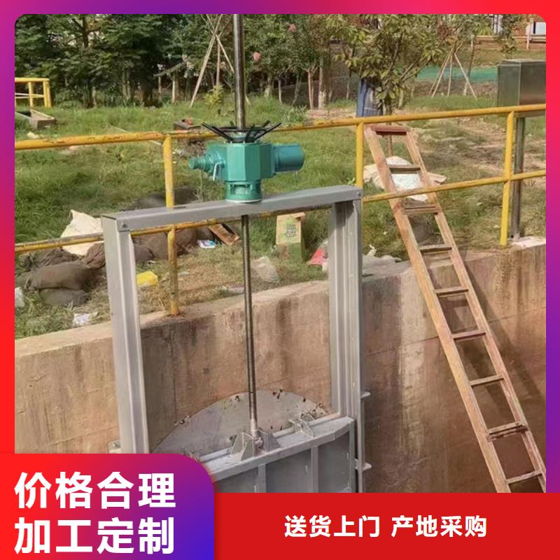 《鱼台》 本地 不锈钢闸门平面钢闸门品质服务