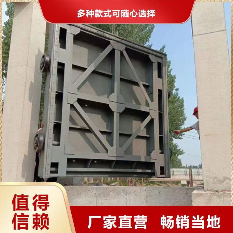《鱼台》 本地 不锈钢闸门平面钢闸门品质服务