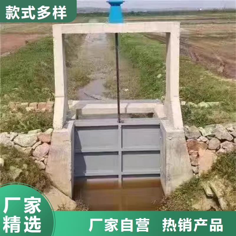 鱼台(本地)不锈钢闸门平面钢闸门品质服务