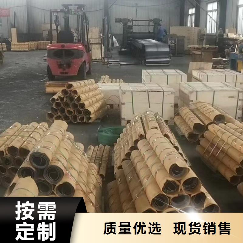 X射线防护铅门厂家现货