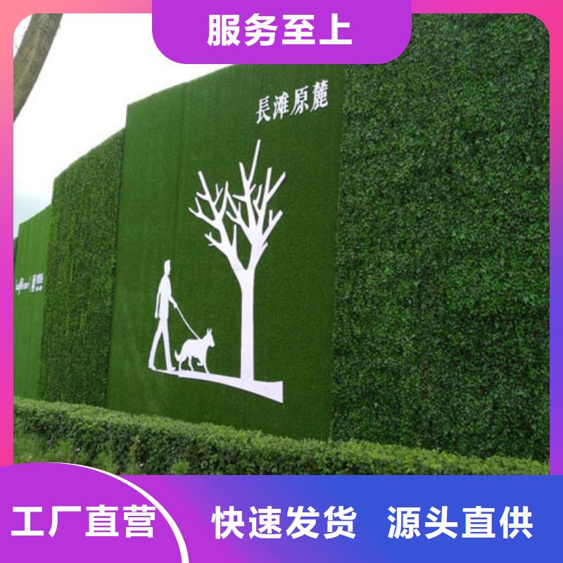 草坪围挡工地人造草坪围挡现货直供