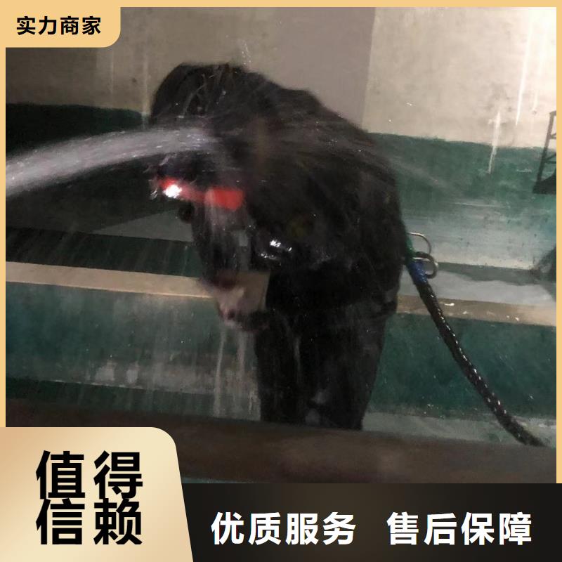 乐东县水下录像工期短