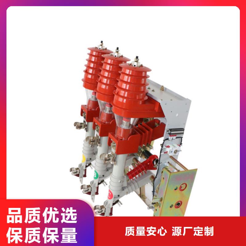 高压负荷开关-VS1户内高压真空断路器实力优品