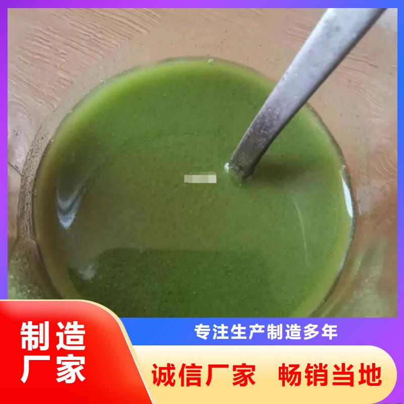 采购羽衣甘蓝粉认准乐农食品有限公司