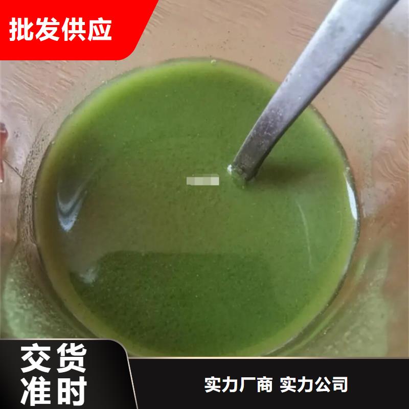 甘蓝粉高品质