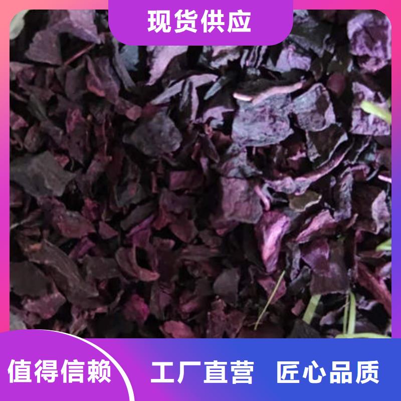 紫薯丁-灵芝菌种安装简单