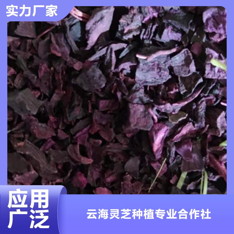 紫薯丁灵芝孢子粉供您所需