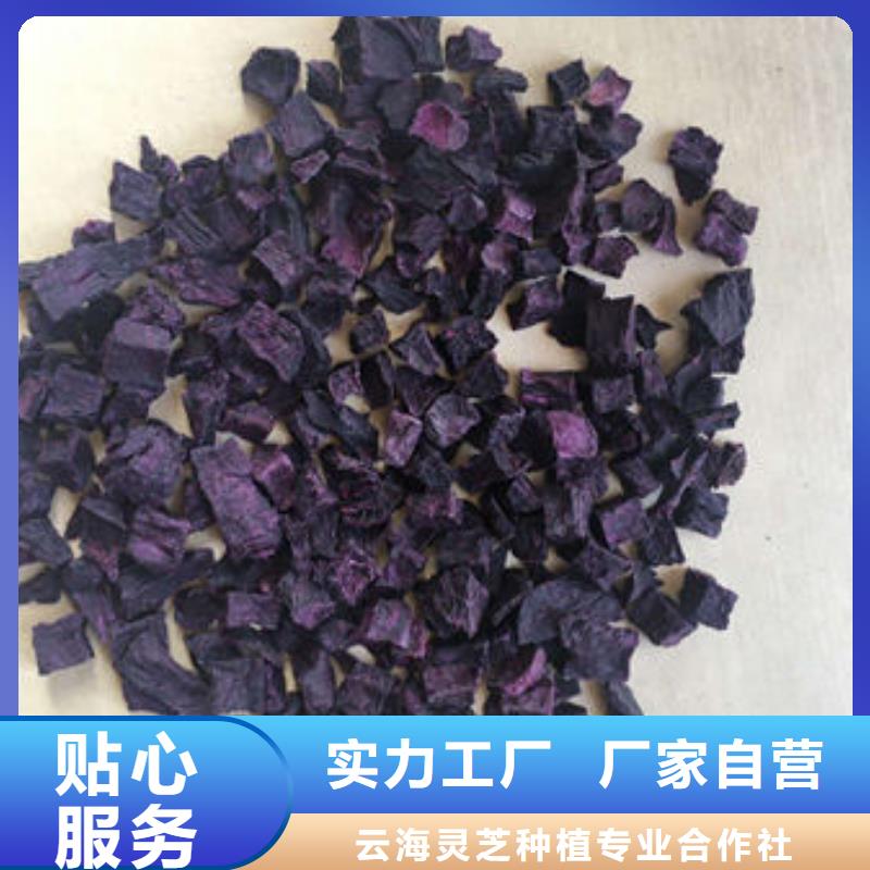 【紫薯丁】灵芝实体厂家大量现货