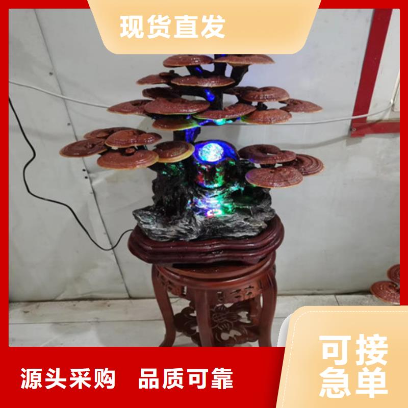 <九江>(当地)赤灵芝基地