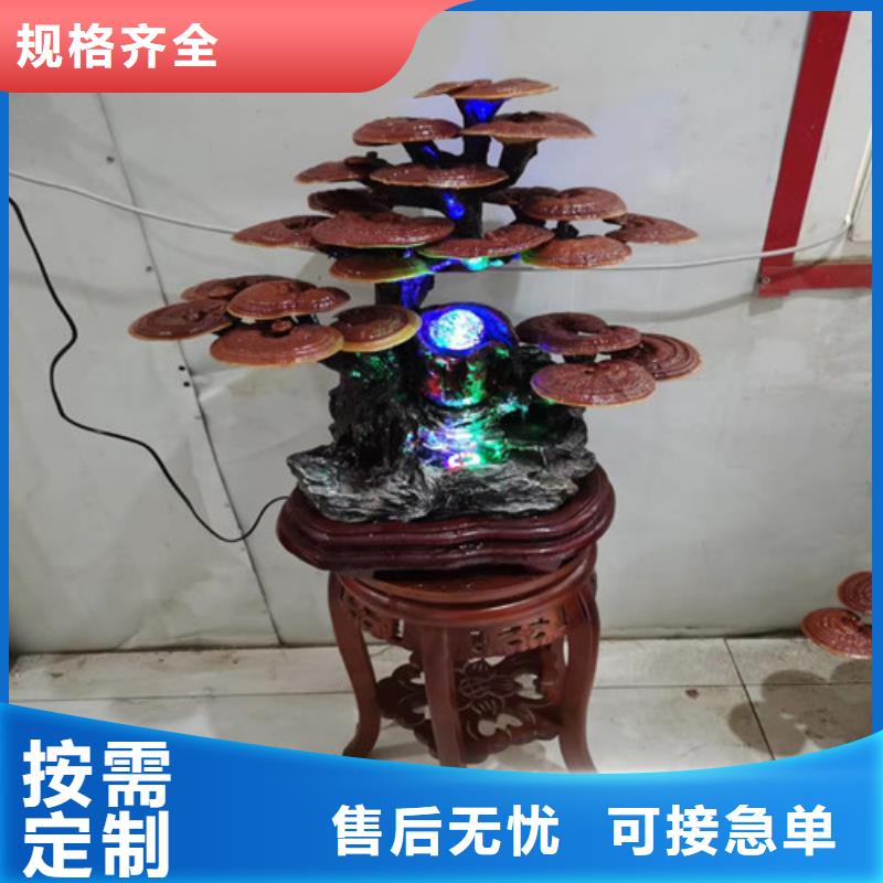 推荐:安康汉阴(本地)灵芝孢子油厂家批发