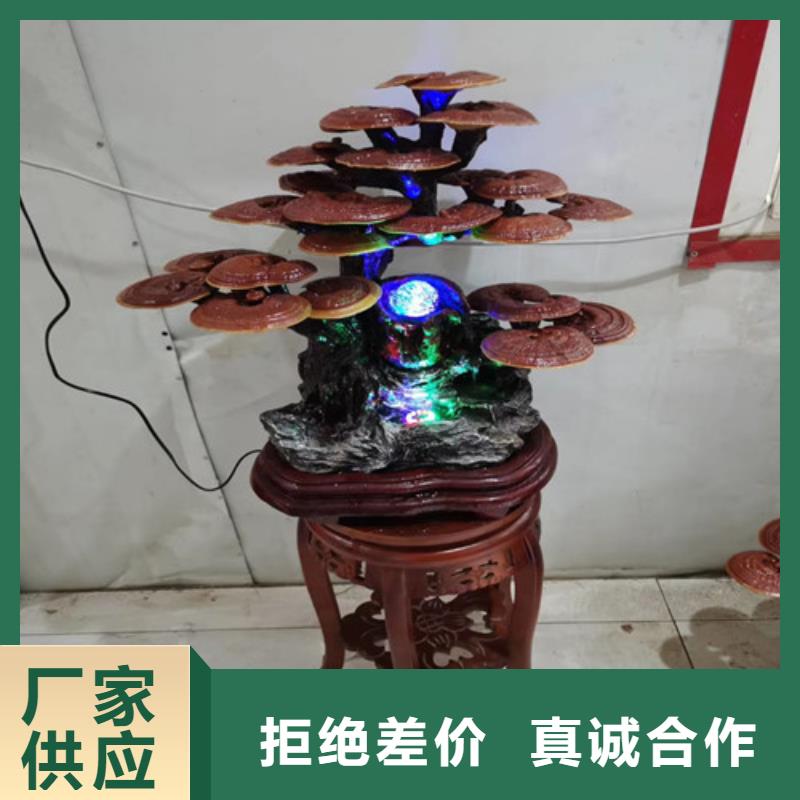 《江西》(当地)紫灵芝种植基地