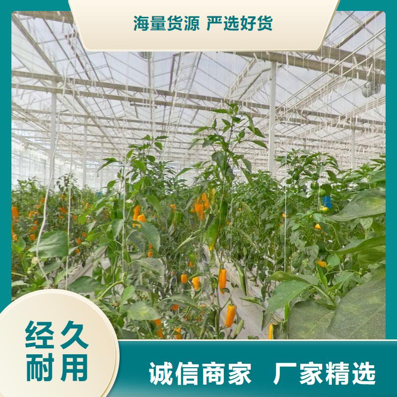 大棚管2大棚管厂家直销省心省钱