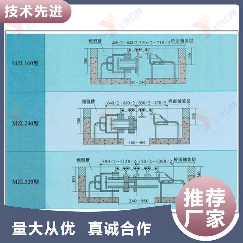 桥梁伸缩缝,球铰支座48小时发货