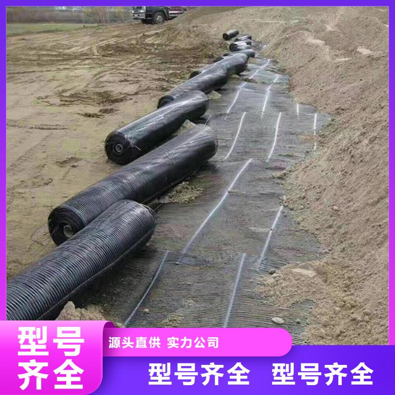 【单向塑料土工格栅】土工席垫厂诚信经营