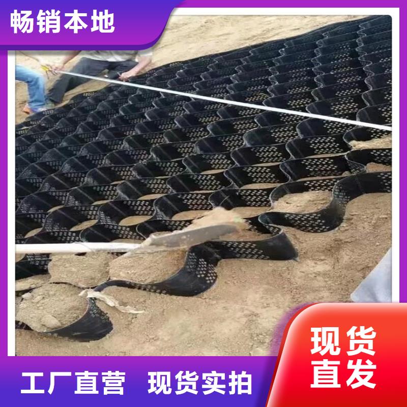 土工格室hdpe复合膜敢与同行比价格