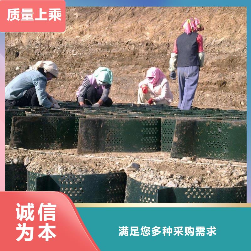 【土工格室】单向塑料土工格栅源厂定制