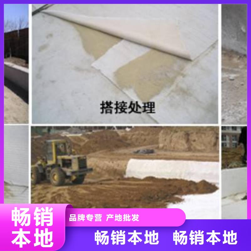 膨润土防水毯土工格室工厂批发