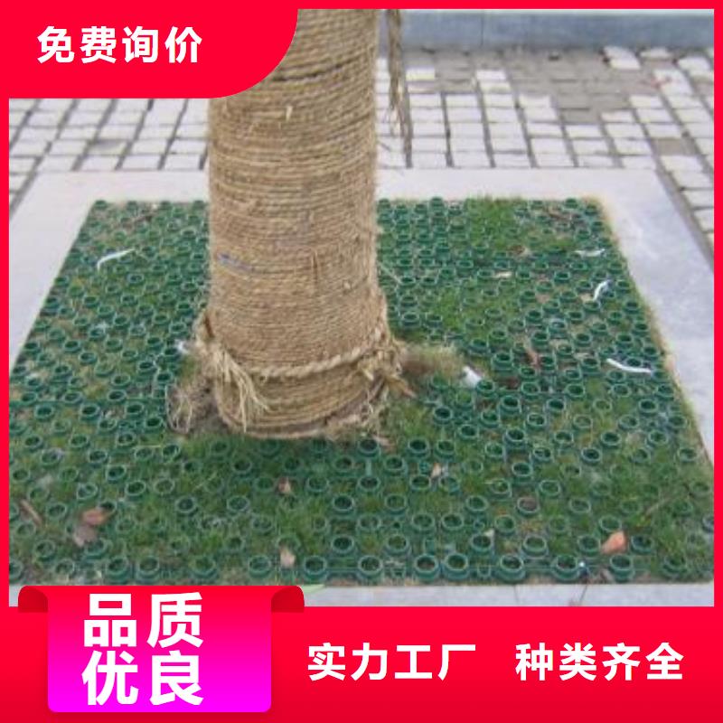 【植草格】单向塑料土工格栅可定制