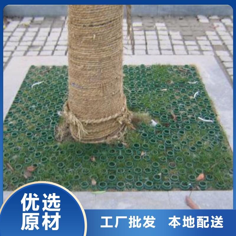 植草格土工HDPE膜本地厂家值得信赖