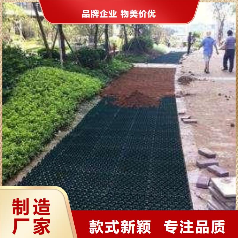 植草格土工滤网实力雄厚品质保障