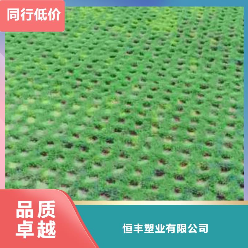 【植草格】单向塑料土工格栅可定制