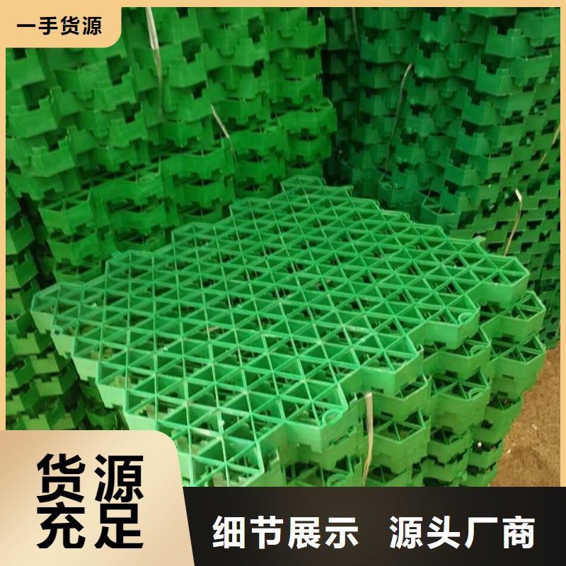 植草格PP焊接土工格栅质优价廉