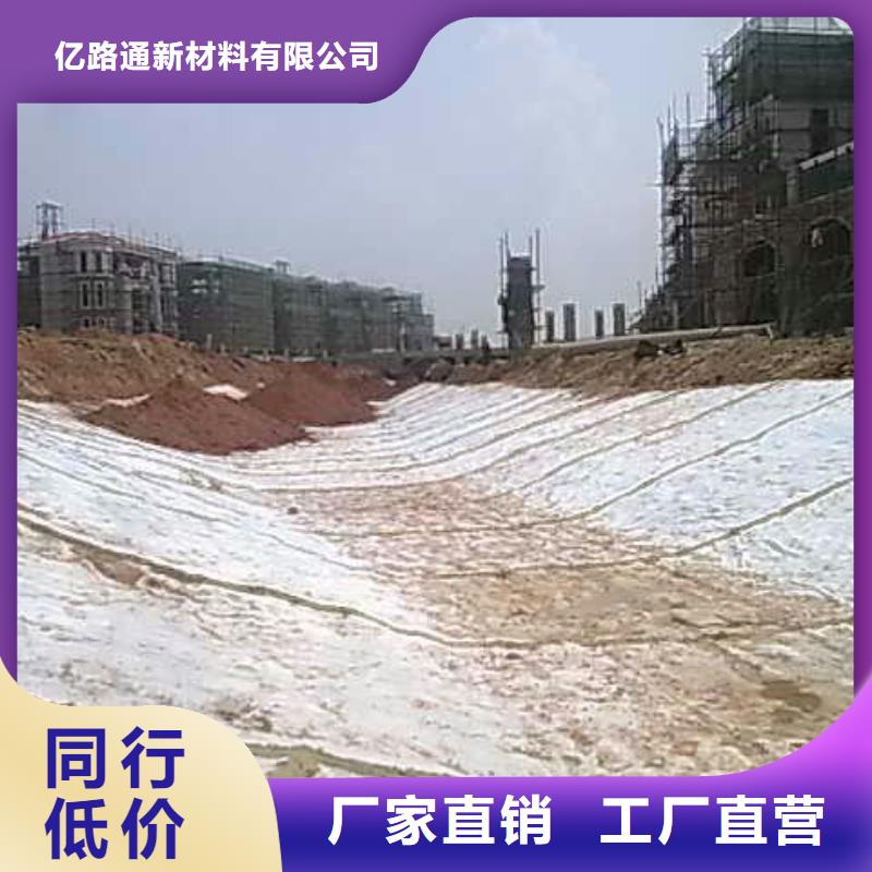 【膨润土防水毯】双向塑料土工格栅放心选购