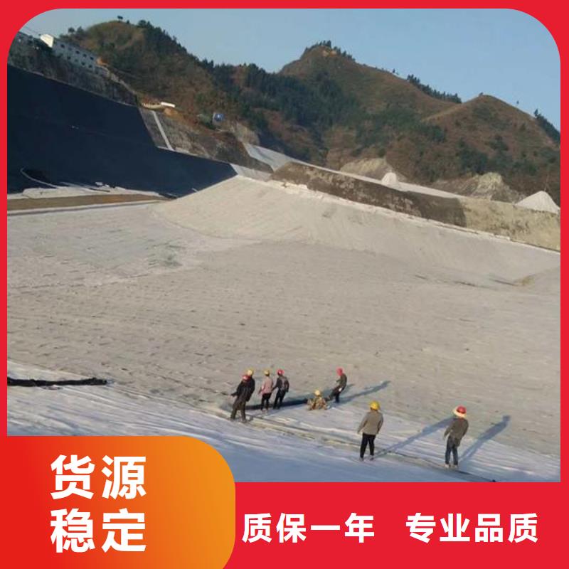 膨润土防水毯-钢塑土工格栅把实惠留给您