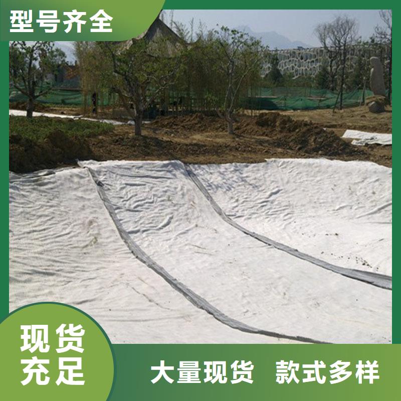 膨润土防水毯玻纤土工格栅可定制