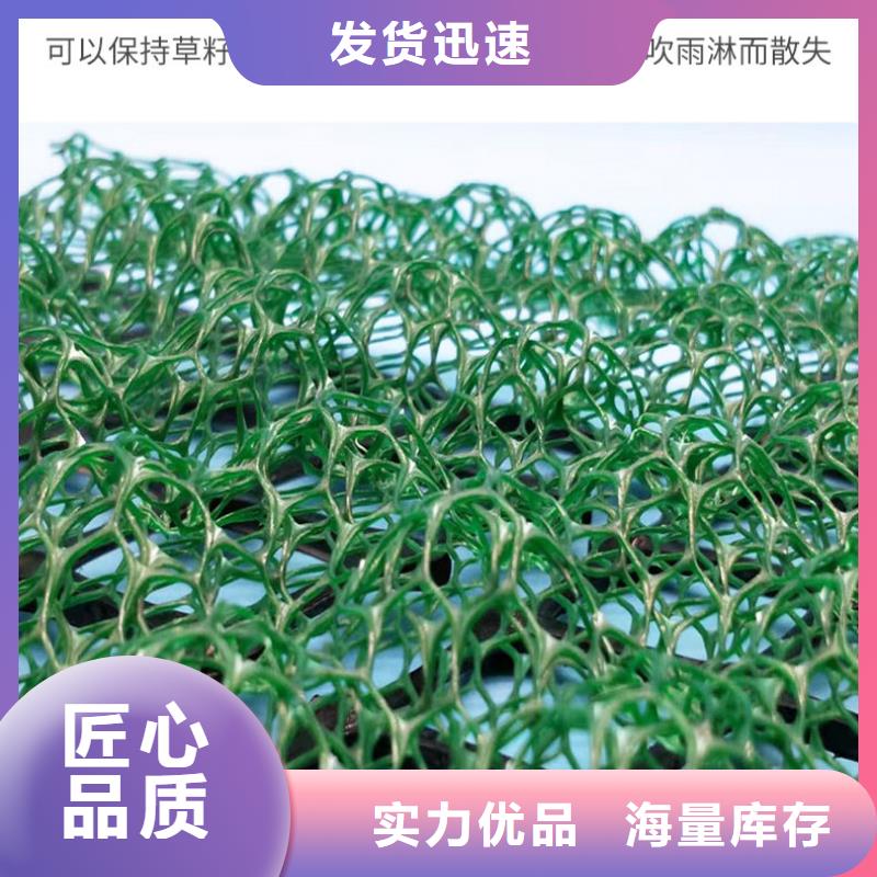 三维植被网-塑料土工格栅库存齐全厂家直供