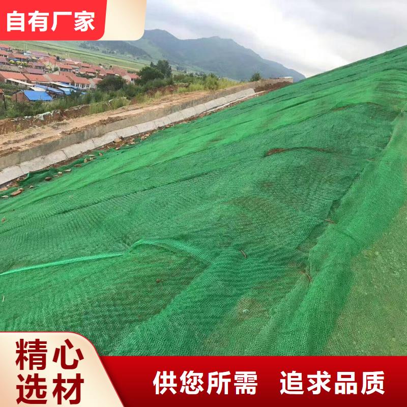 三维植被网-塑料土工格栅库存齐全厂家直供