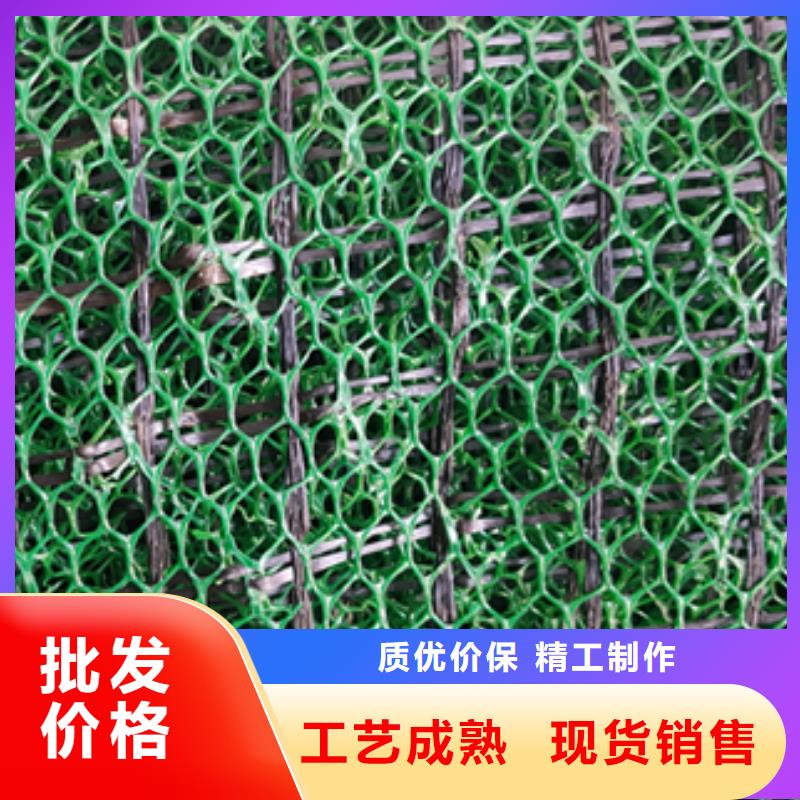 三维植被网,玻纤土工格栅本地厂家值得信赖