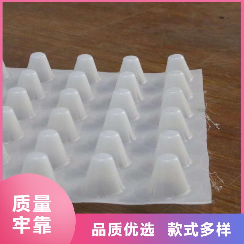 塑料排水板复合土工膜匠心品质